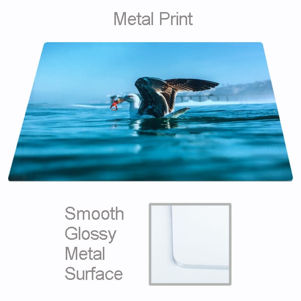 Metal Prints