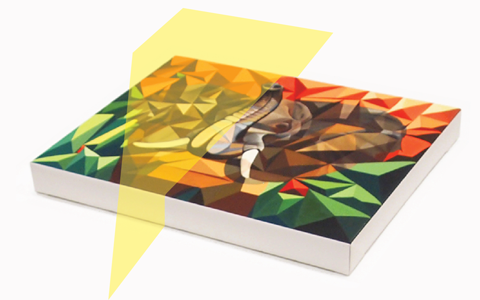 Artwork Scanning