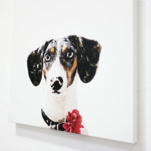 Stretched Canvas<br>Full Color<br>Matt Finish<br>5-7 days