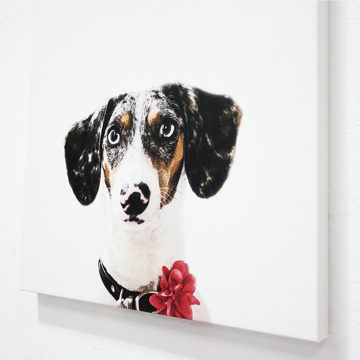Stretched Canvas<br>Full Color<br>Matt Finish<br>5-7 days